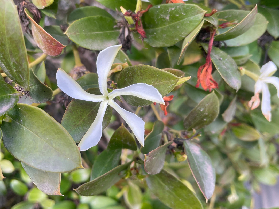 Kulturpark Mariposa-阿罗纳必去景点