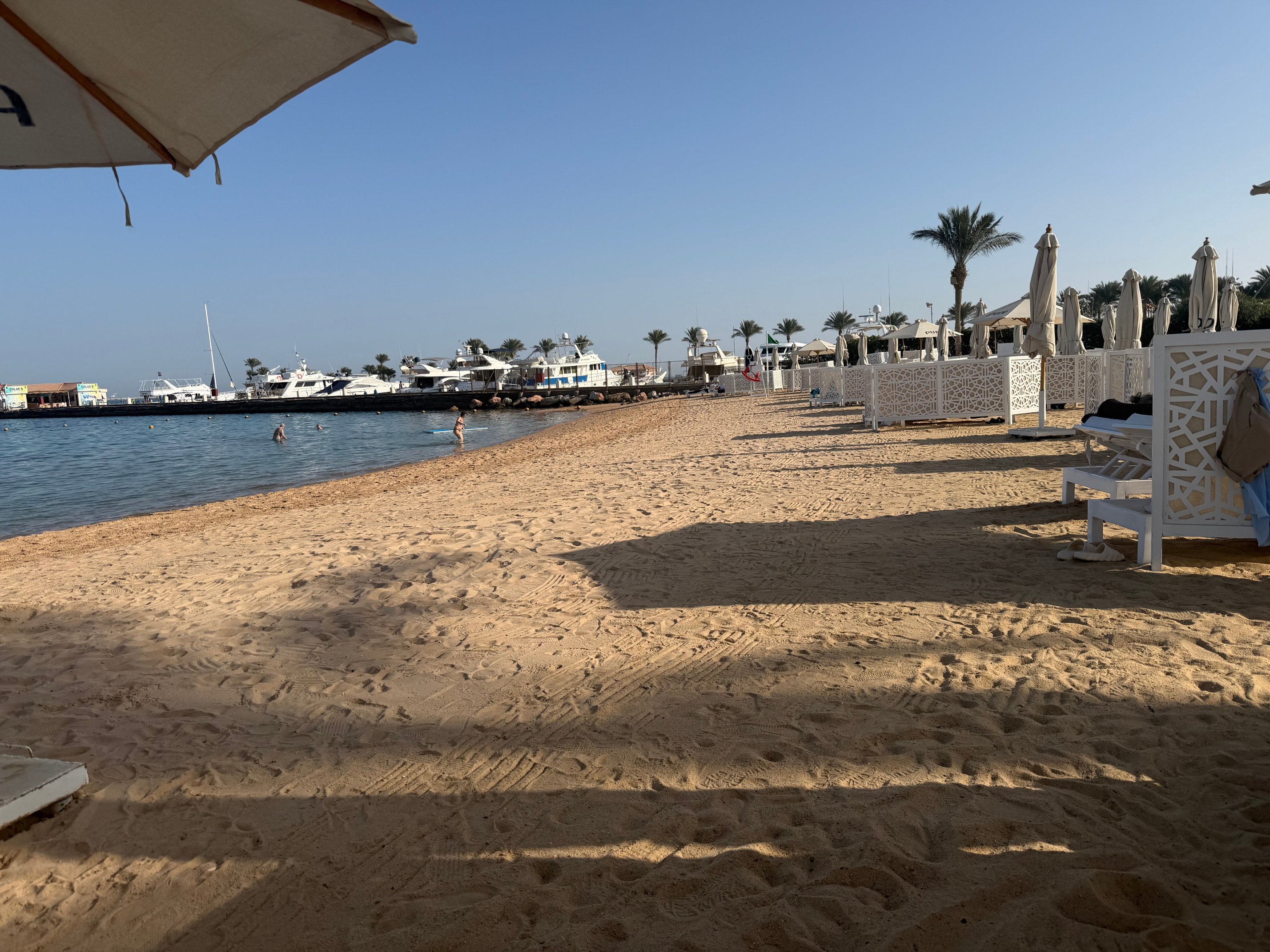 Steigenberger Pure Lifestyle Hotel-泳池