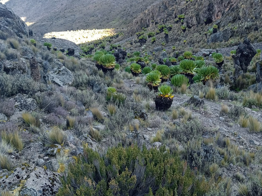 Jose Safaris & Adventures-南由基必去景点