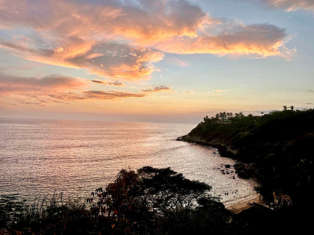 Playa Carrizalillo-埃斯孔迪多港必去景点