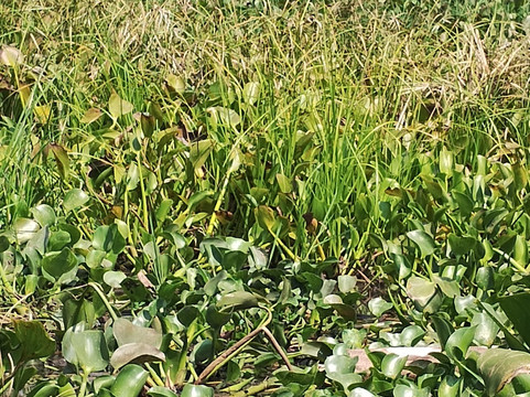 Vialey Kankou Tours-坎帕拉必去景点