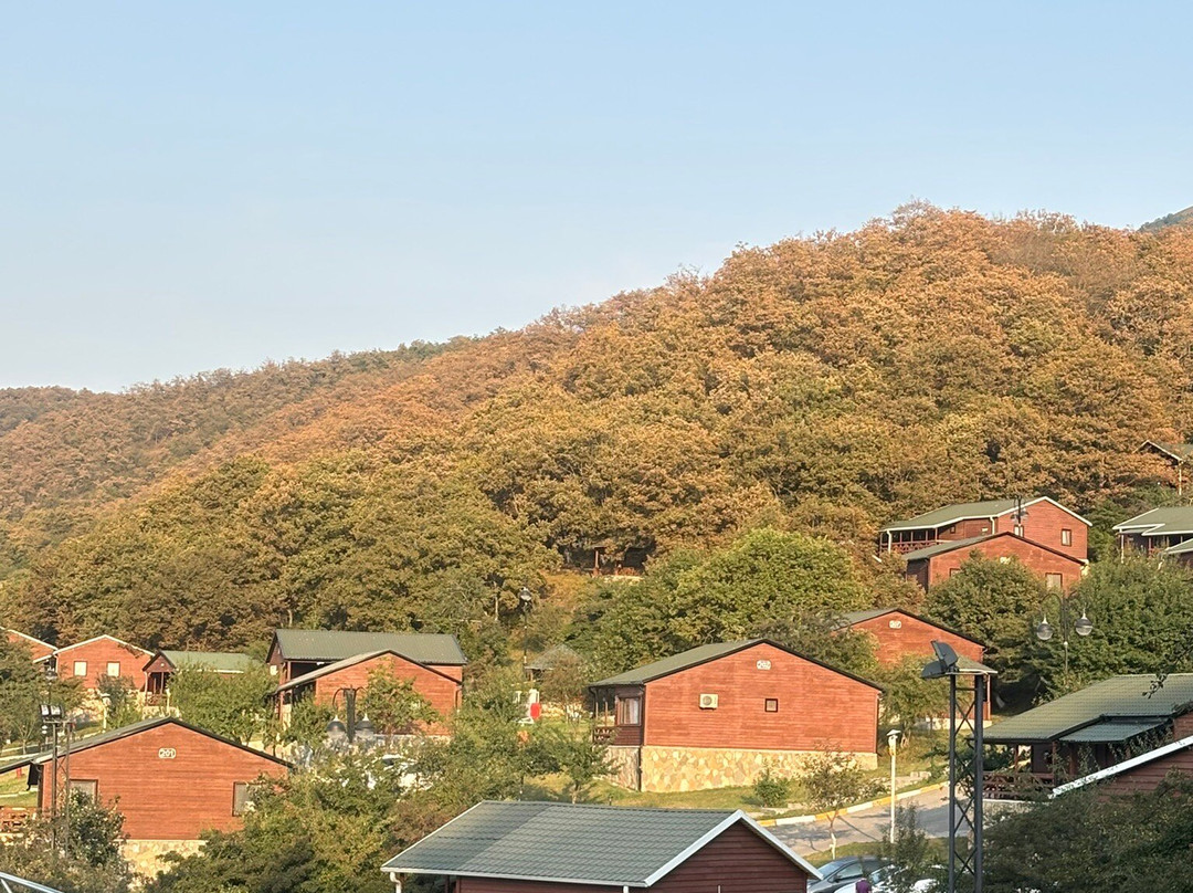 Deluxe Park Qusar Resort & Spa Hotel主图