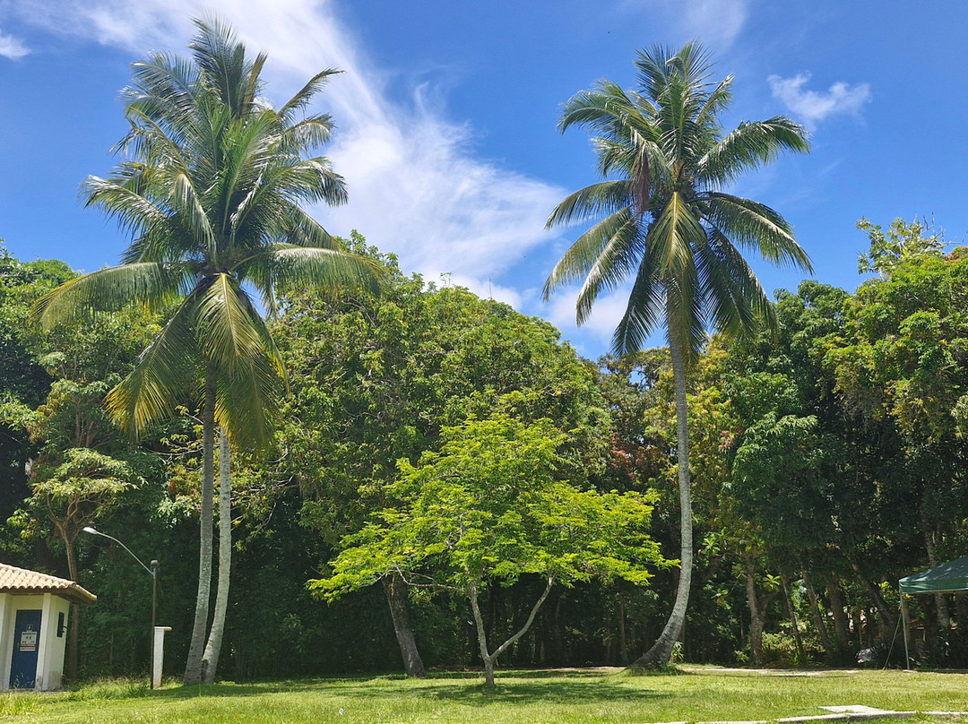 Mirante-Santa Cruz Cabralia必去景点