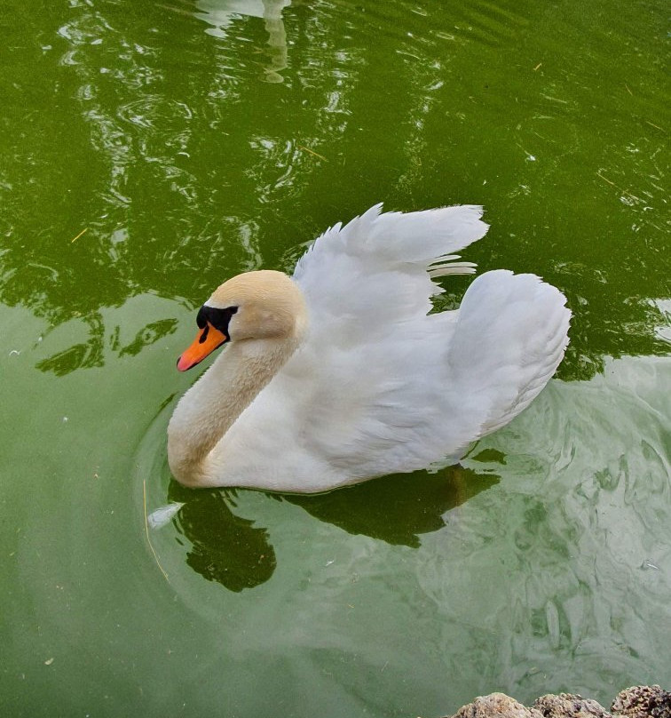 Sur les Hauteurs du Luberon主图