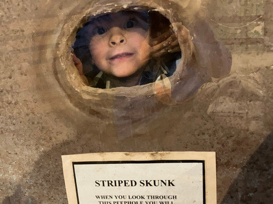 The Bloomsburg Children's Museum-Bloomsburg必去景点