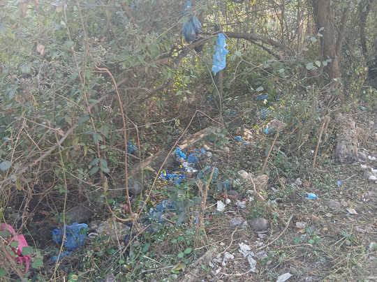 Benaulim Beach-奔闹林必去景点