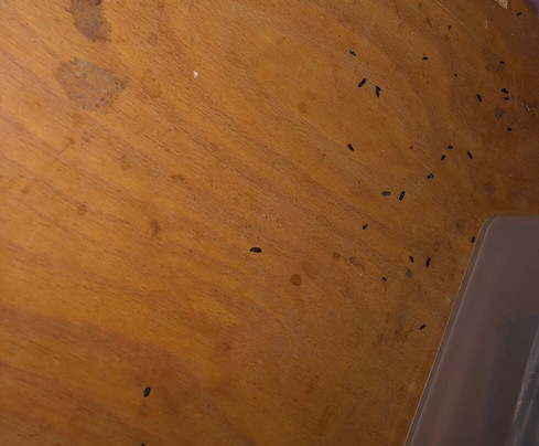 La Maru | Coffee & Bread