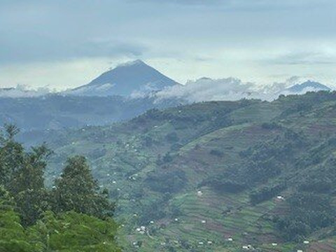 Blacksmith safaris ltd-坎帕拉必去景点