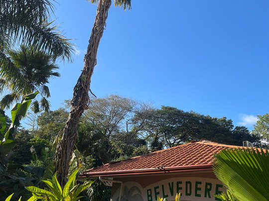 Hotel Belvedere主图