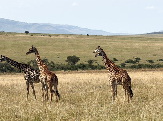 Bigfoot Adventures-内罗毕必去景点