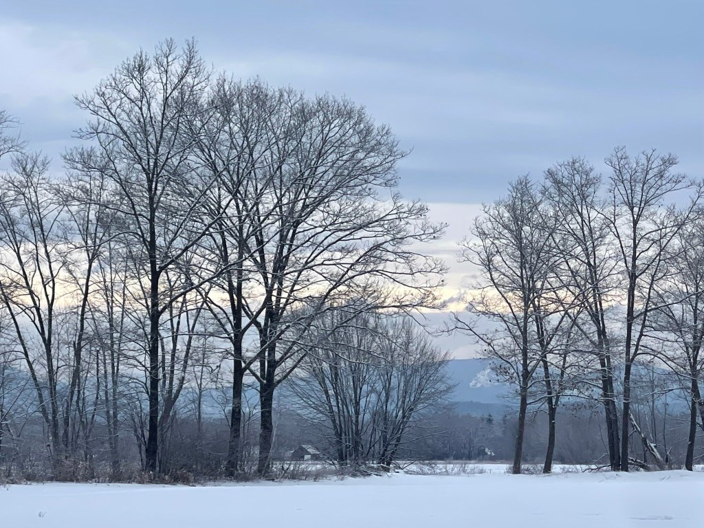 The Old Saco Inn-官方