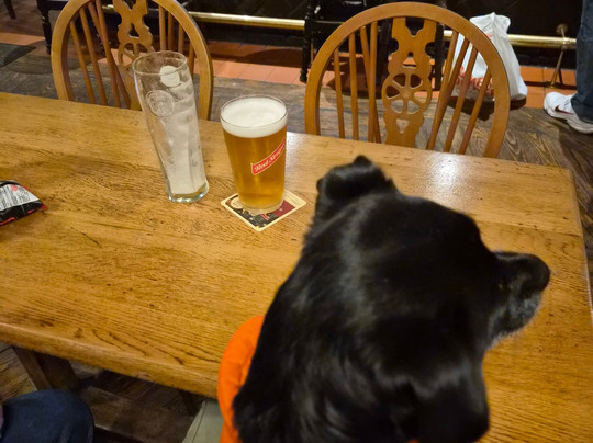 The Arena Tavern-莱奇沃思必去景点