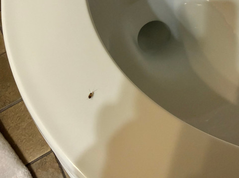 Northern Greens Resort主图