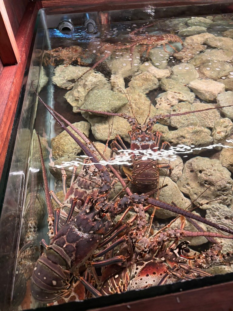 La Créole Beach Hôtel & Spa-官方