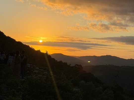 Parque Olivas de Gramado-格拉玛多必去景点