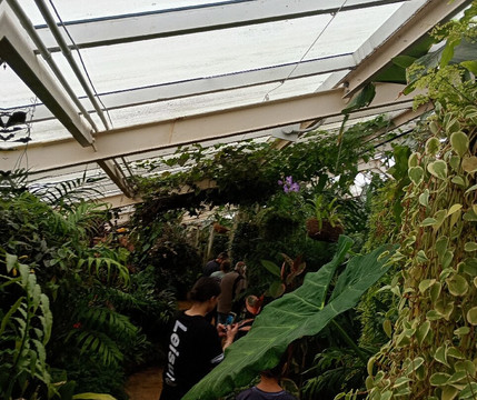 Victoria Esplanade-北帕墨斯顿必去景点