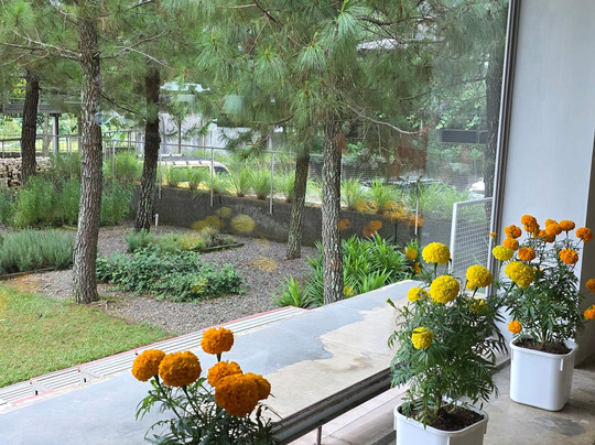 Rumah Atsiri Indonesia-Tawangmangu必去景点