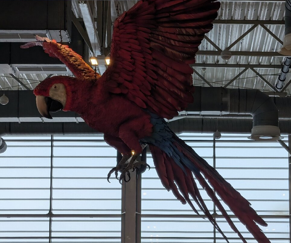 Amazonia Aquapark-蒂米什瓦拉必去景点