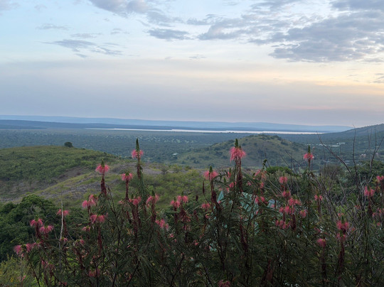 Hyena Hill Lodge主图