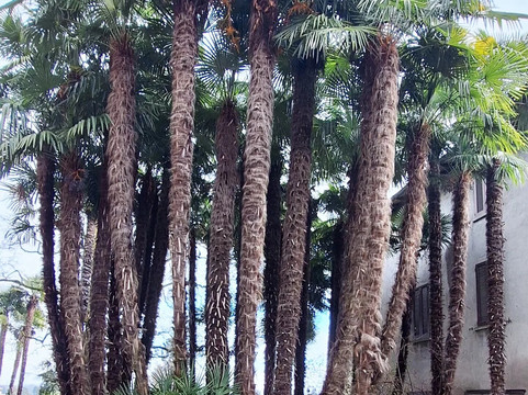 Casa Macchi-Morazzone必去景点