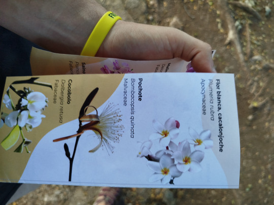 Oropopo Experience-圣何塞必去景点