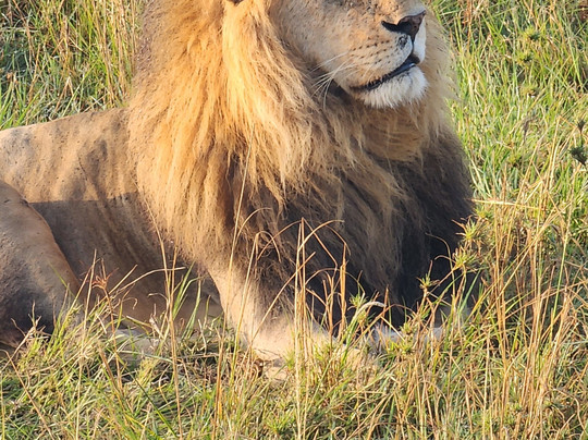 Travelcare Limited-内罗毕必去景点