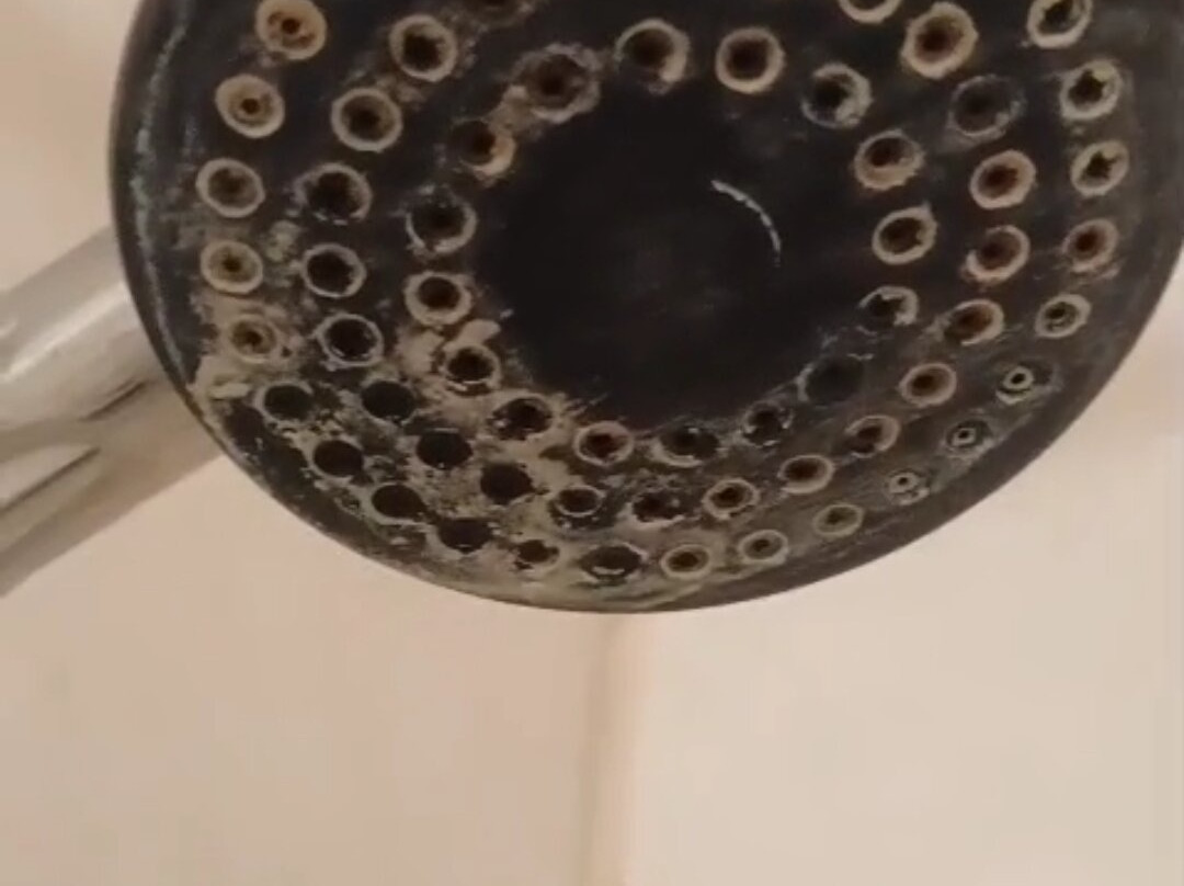 太平洋大酒店主图