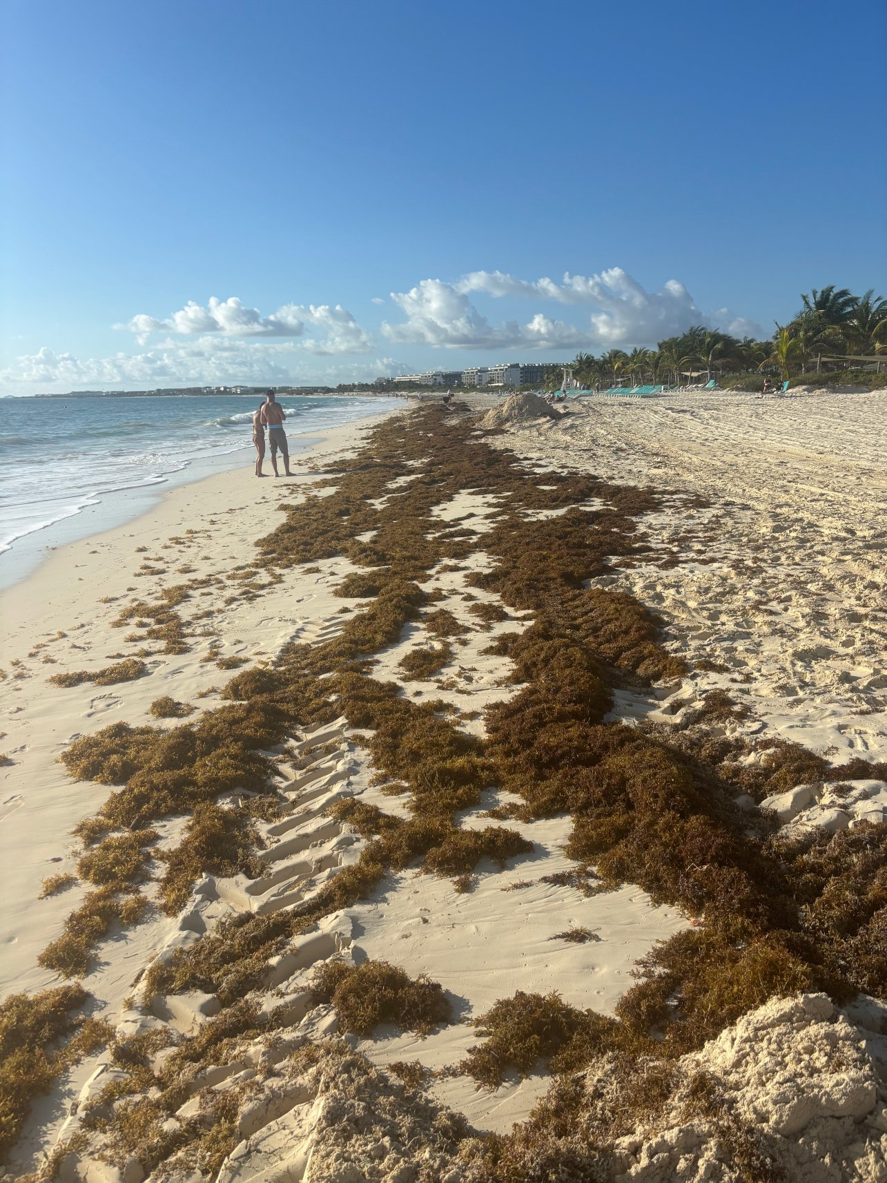 Planet Hollywood Cancun Adult Scene by Royalton, An Autograph Collection-泳池