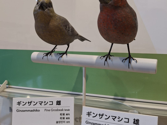 Asahidake Visitor Center-东川町必去景点