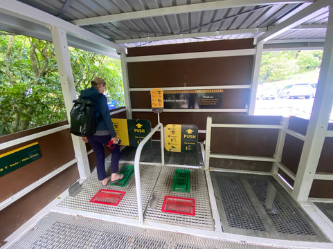 Tane Mahuta Walk-Opononi必去景点