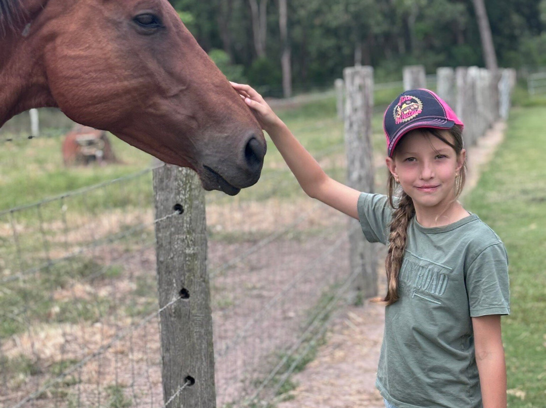 Splitters Farm-邦德堡必去景点