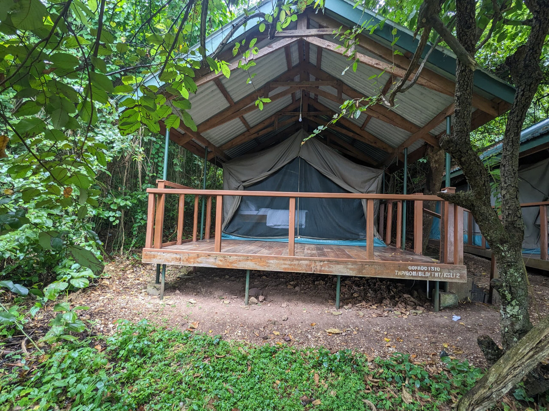 Kasekela Luxury Tented Camp