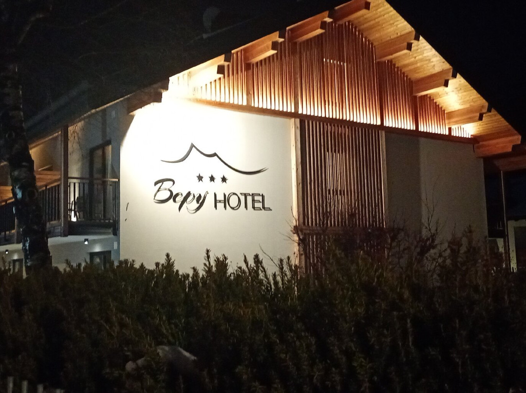 Bepy Hotel Garni主图