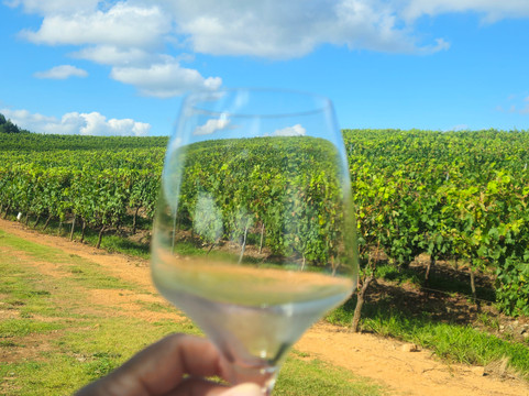 Vinicola Luiz Argenta-Flores Da Cunha必去景点