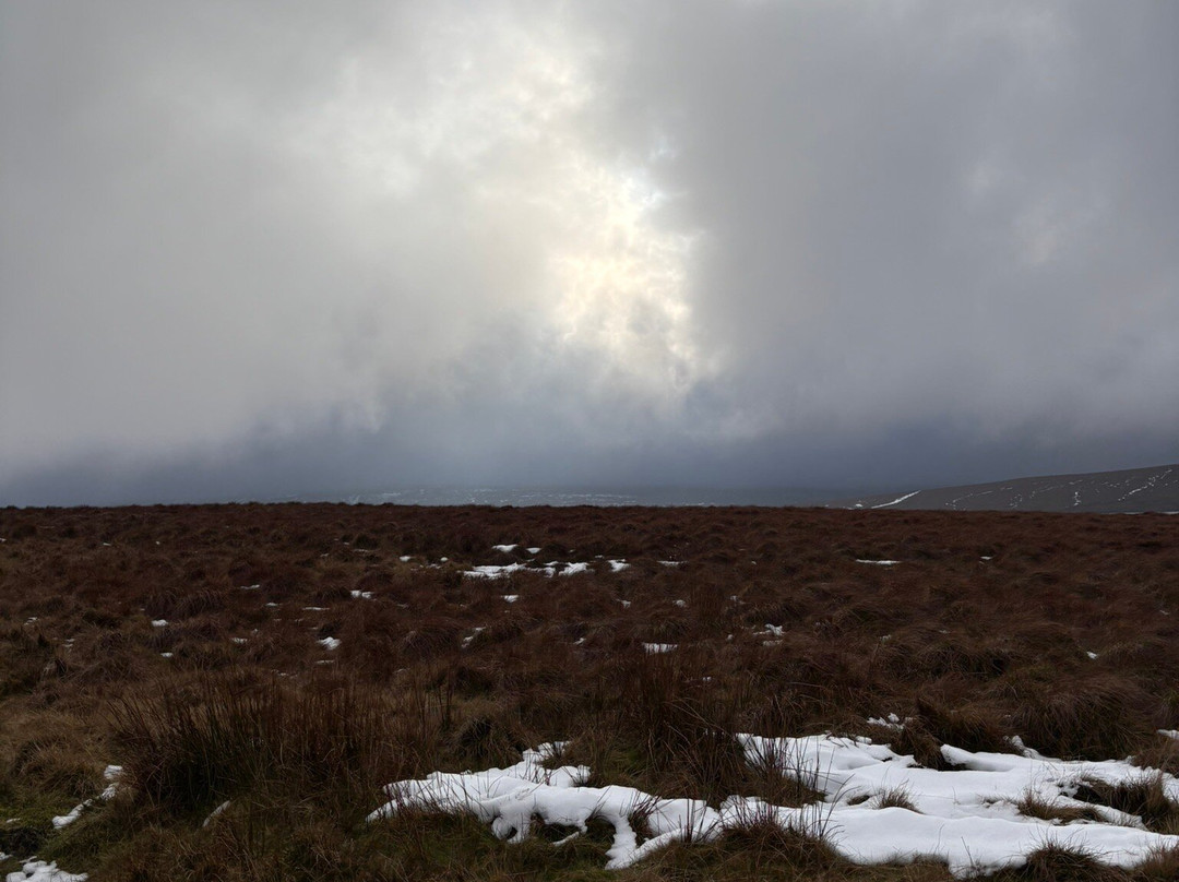 Cauldron Snout-Forest-in-Teesdale必去景点