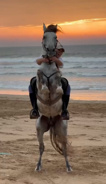 Ocean Ranch Essaouira-索维拉必去景点