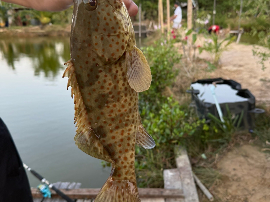Organic Family Farm And Fishing-Ban Sala Dan必去景点