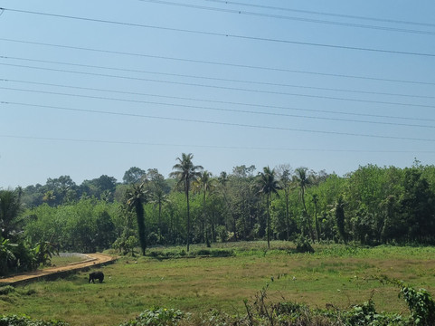Kochi Taxi 24X7-柯钦必去景点