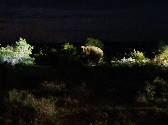 Freedom Safari Jeep Tours-蒂瑟默哈拉默必去景点