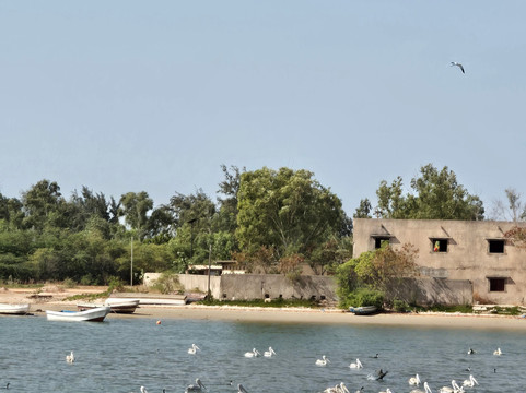 Bacary Tour-Nianing必去景点