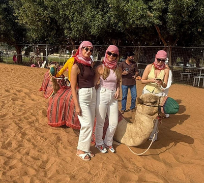 Eagle Tours Dubai-迪拜必去景点