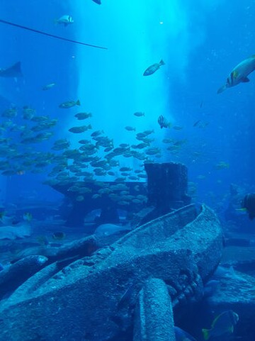 棕榈岛亚特兰蒂斯酒店主图