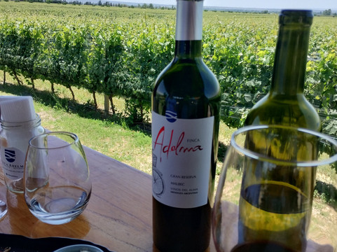 Finca Adelma-Tupungato必去景点