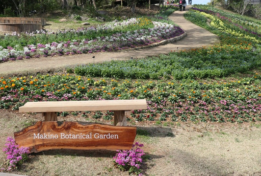 The Kochi Prefectural Makino Botanical Garden-高知市必去景点