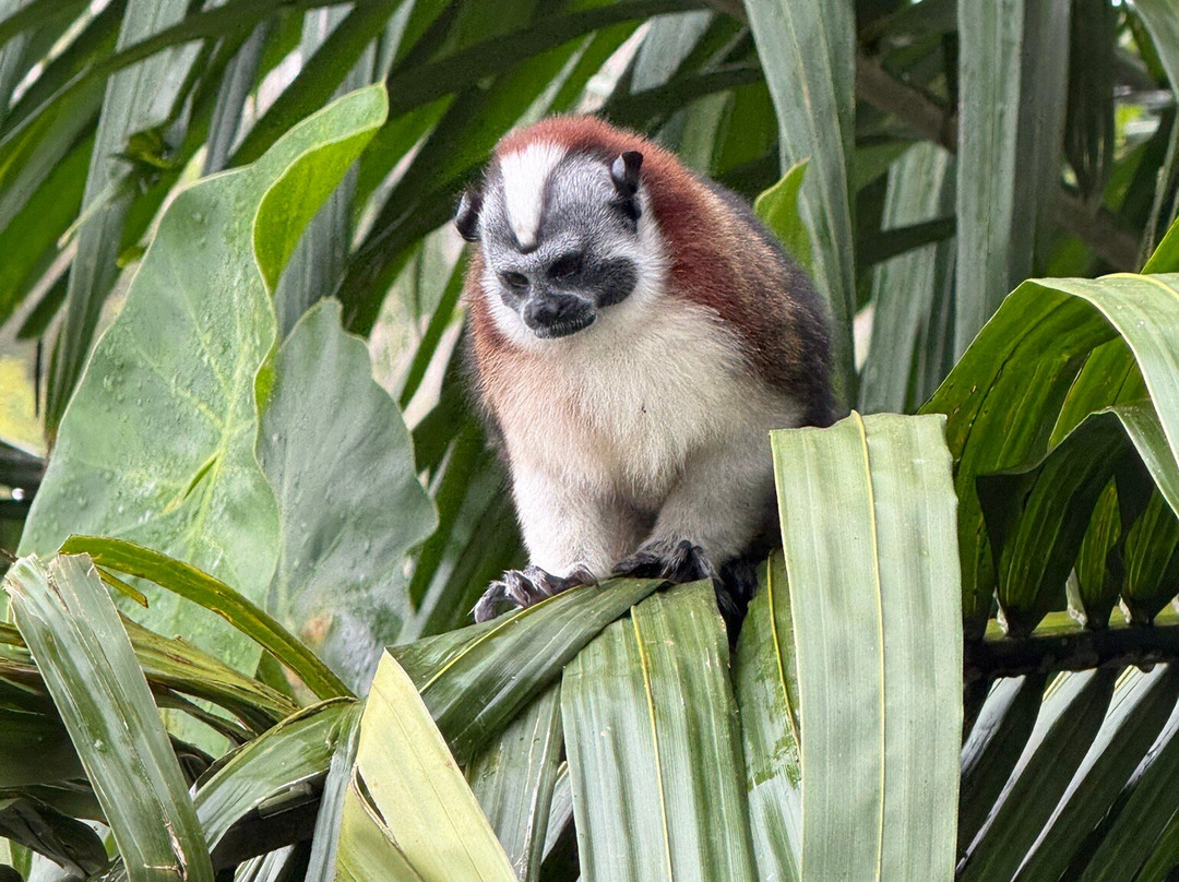 Rudy's Tours-巴拿马城必去景点