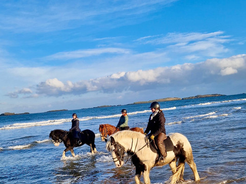 Bespoke Equestrian Ireland-都柏林必去景点