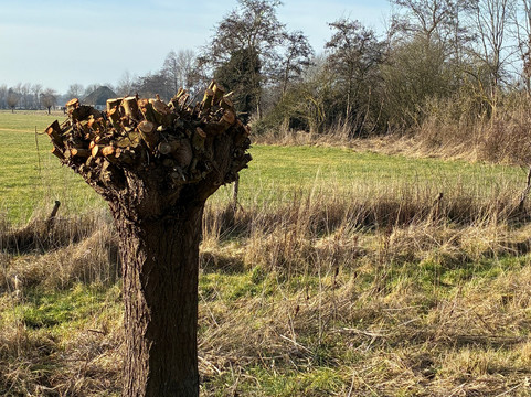 Baafjespolder en Sammerspolder-Heiloo必去景点