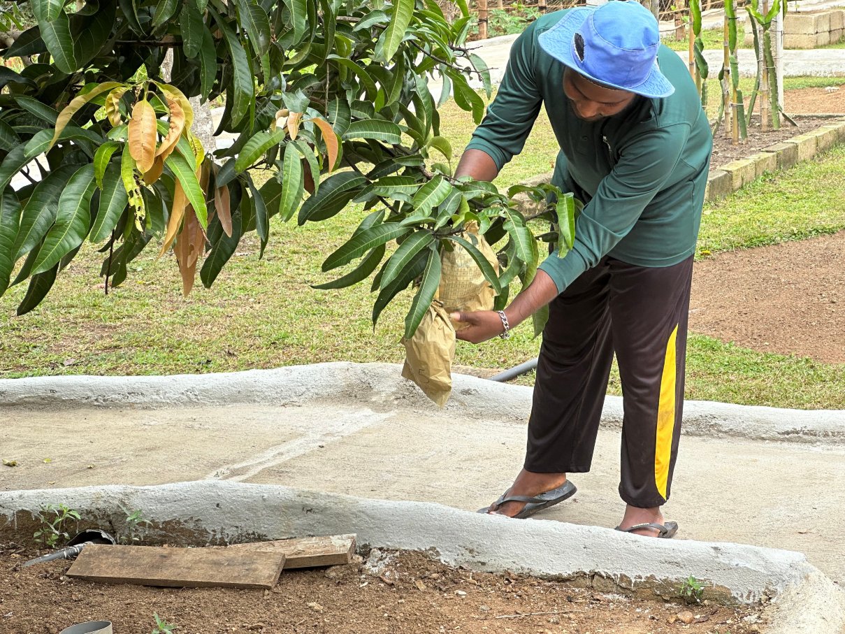 乌达瓦拉维卡鲁的隐居处酒店-浴室