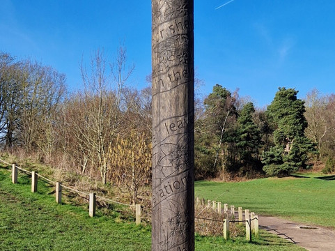 Sherwood Forest-诺丁汉郡必去景点