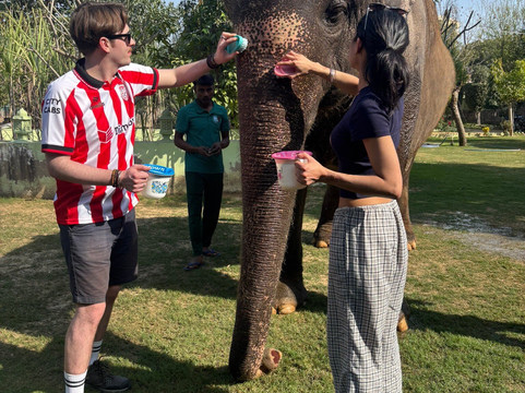 大象奇迹观光农场-斋蒲尔必去景点